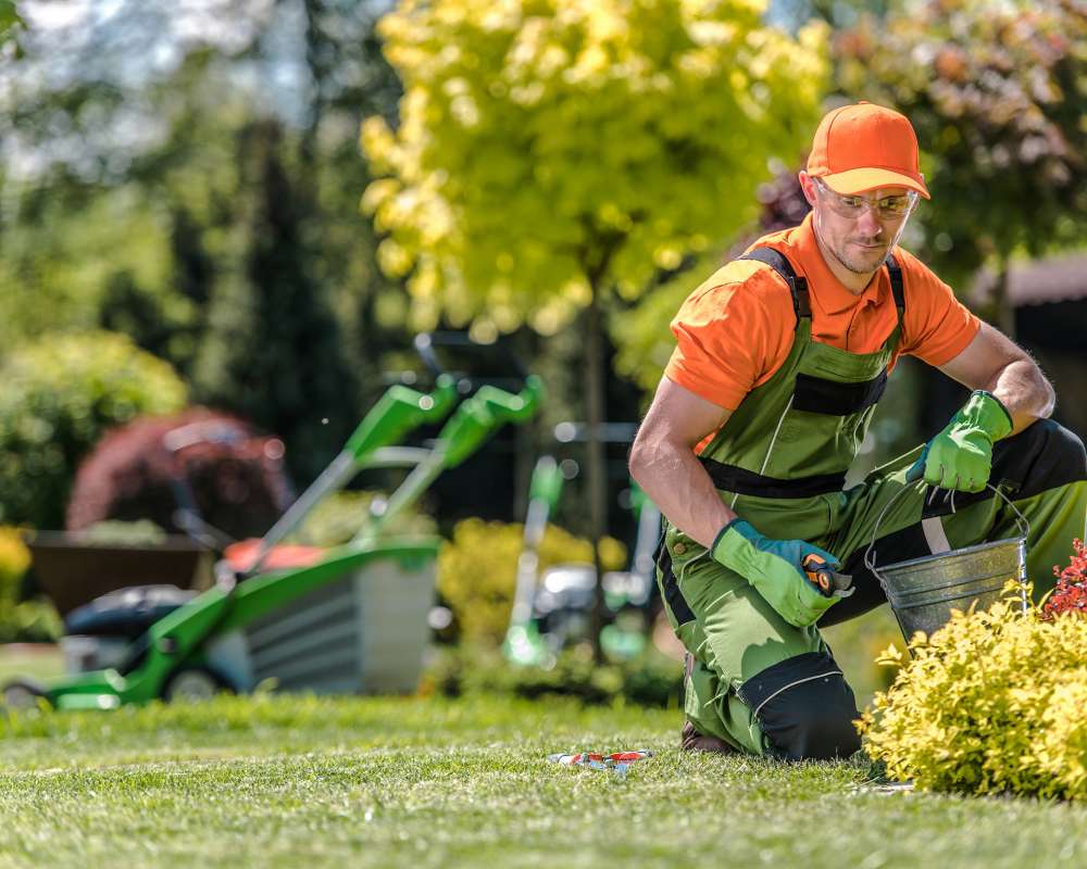 Professional Caucasian Gardener Professional Caucasian Gardener in His 30s and the Beautiful Residential Backyard Garden. Summer Time Maintenance.